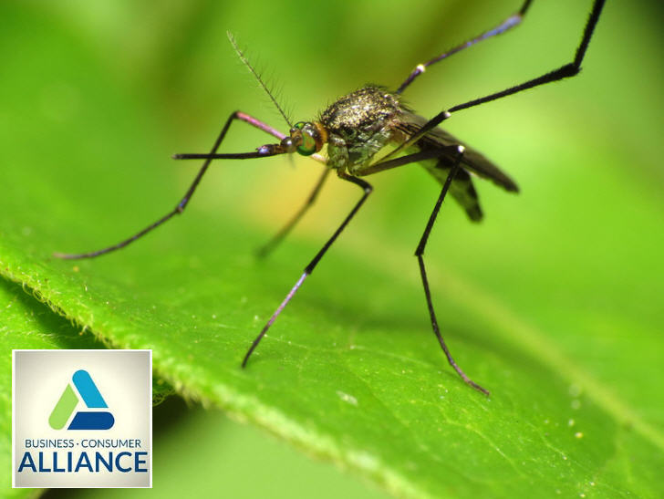5 Active Ingredients to Help Protect Against Zika Virus